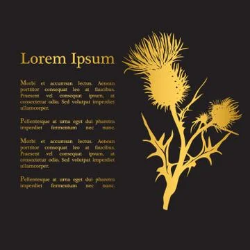 Decorative vector thistle (Carduus acanthoides) silhouette Stock Illustration