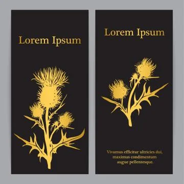 Decorative vector thistle (Carduus acanthoides) silhouette Stock Illustration