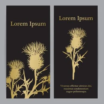 Decorative vector thistle (Carduus acanthoides) silhouette Illustrazione stock