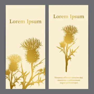 Decorative vector thistle (Carduus acanthoides) silhouette Illustrazione stock