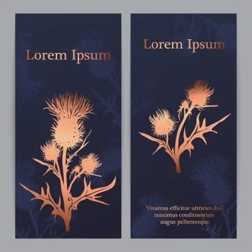 Decorative vector thistle (Carduus acanthoides) silhouette Stock Illustration