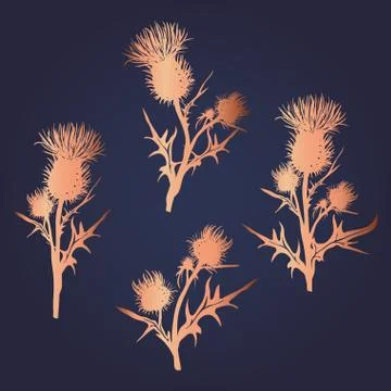 Decorative vector thistle Stock Illustration