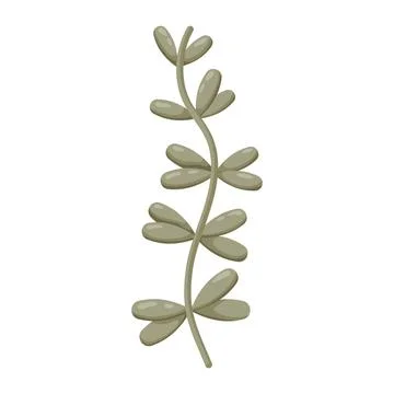 Decorative Vertical Branch Botanical Element Stock Illustration