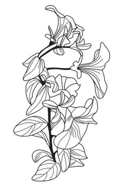 Decorative viola flowers Stock Illustration