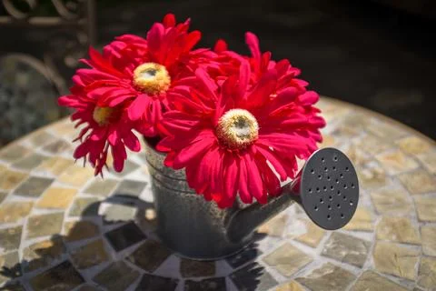 Decorative Watering Can Stock Photos