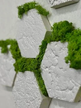 Decorative White Hexagonal Panels with Moss Stock Photos