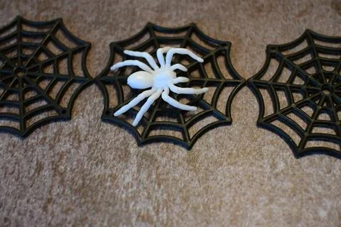 Decorative white spider on black web decorations Photos