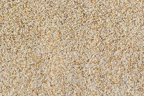 Decorative white wall plaster pattern stylized in bark beetle texture. The wh Stock Photos