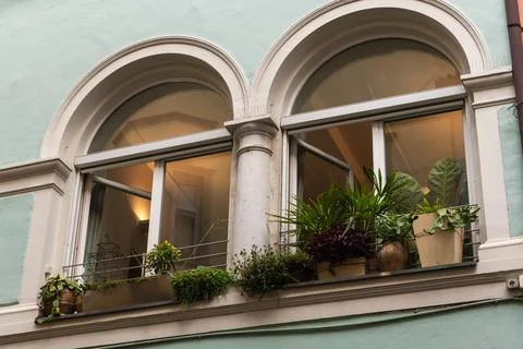 Decorative Window With Plants Foto stock