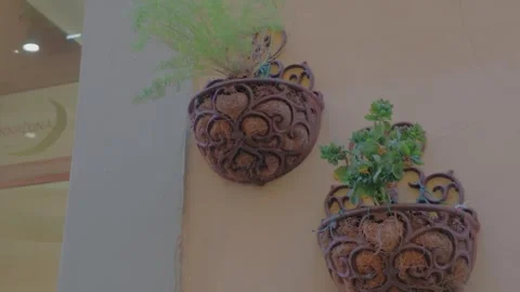 Decorative Wrought Iron Wall Planters with Green Plants in Florence Italy Видео 340749211