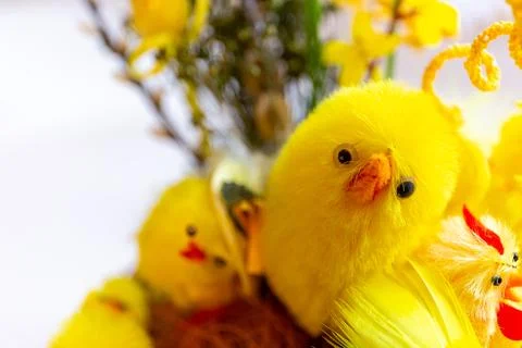 Decorative yellow Easter chicks in wicker Easter basket, close-up view, cop.. Fotos de archivo