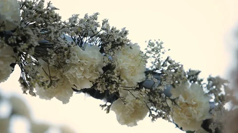 Decorator makes Beautiful wedding arch with  white flowers Stock Footage 105000283