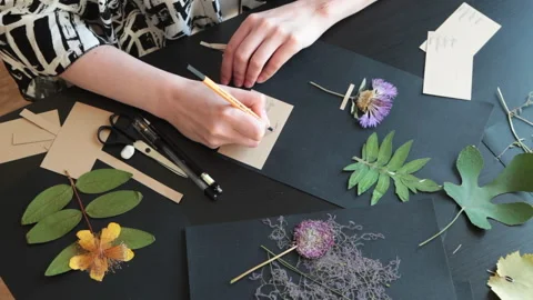 Decorator making a herbarium Stock Footage 146268142