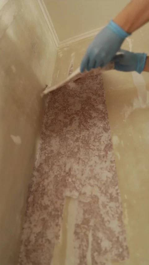 Decorator stripping wallpaper corner inside a residential room Stock Footage 338003322