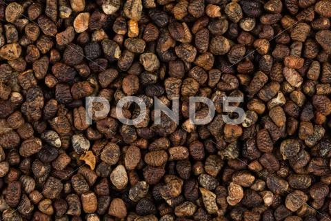 Decorticated cardamom seeds Stock Photos