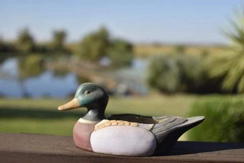 Decoy Fotos de archivo