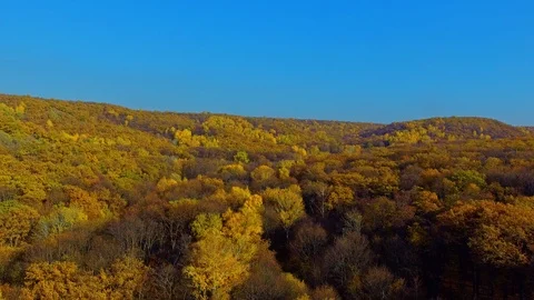 Decrease above the water surface Stockbeeldmateriaal 103659033