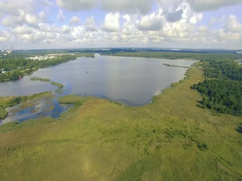 Decrease in altitude above The Yellow Reeds And Bushes Of Marsh Lake. 库存影片 82861684