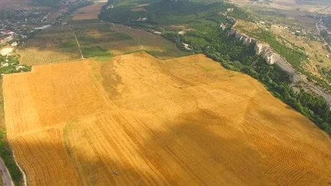 Decrease on the field with harvested machinery. bird's eye view. 库存影片 85897206