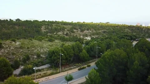 Decrease in height against the background of trees 库存影片 239656974