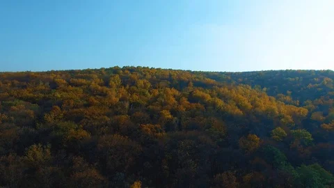 Decrease over a smooth surface of the forest lake Stockbeeldmateriaal 99411670