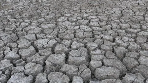 Decrease in water levels and large-scale cracking of the soil as a result o.. 스톡 동영상 285946341