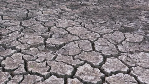 Decrease in water levels and large-scale cracking of the soil as a result o.. 库存影片 285946728