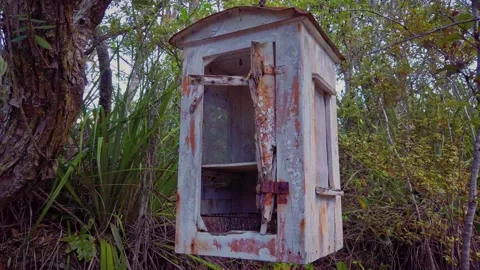 Decrepit outdoor storage box on Rangitoto Island, New Zealand Stock-Footage 142897598