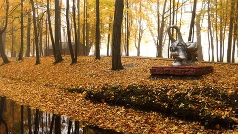 Decrepit pond in an old city park with yellow fallen foliage. Stock Footage 114618996