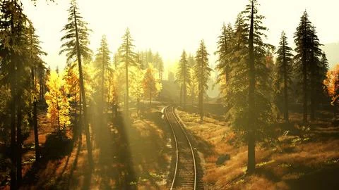 Decrepit railroad tracks traversing a forest of fir trees at sundown Stock Illustration