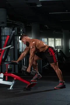 Dedicated athlete performs weighted exercise using dumbbells in sleek gym Stock Photos