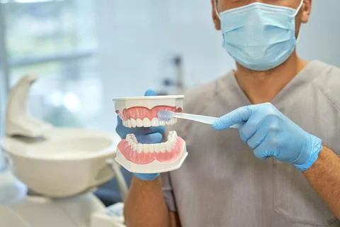 Dedicated dentist demonstrating teeth-brushing on fake teeth Stock Photos