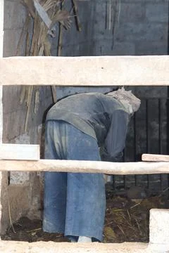 Dedicated Farmer Hard at Work 스톡 사진
