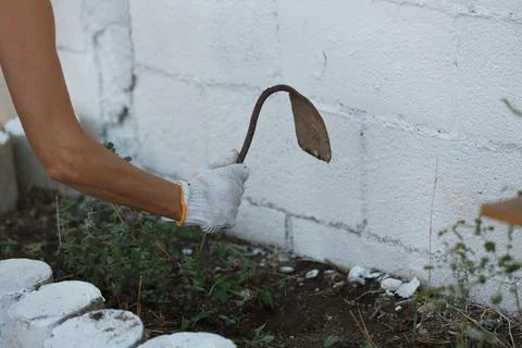A dedicated gardener is using a hoe skillfully for weeding in a beautiful gar Stock Photos