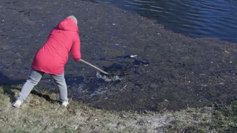 A dedicated individual dressed in a striking red coat is actively cleaning up Stock Footage 305770357