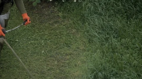 A dedicated landscaping worker skillfully utilizing a string trimmer within a Stock Footage 311281485