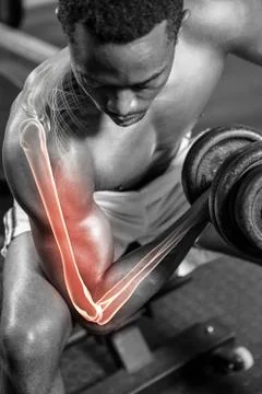 Dedicated shirtless man doing excercise with dumbbells Stock Photos