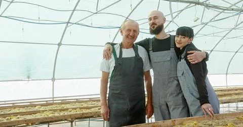 A Dedicated Team Engaged in Collaborative Work in a Thriving Greenhouse Stock Photos