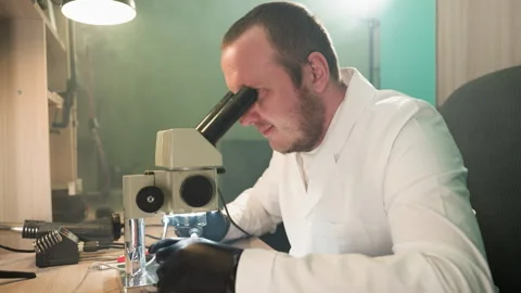 Dedicated Technician Examining Circuit Board Under Microscope Video stock 282301746