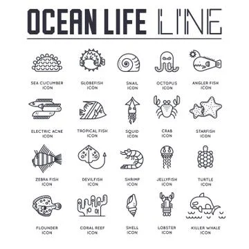 Dedicated to undersea vector brochure lines set. Coral reef in the ocean Stock Illustration