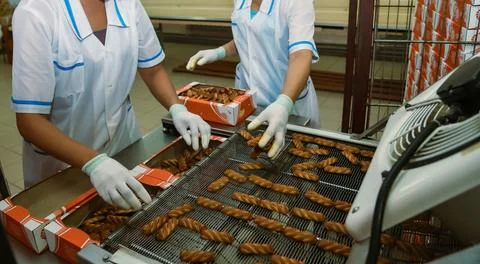 Dedicated workers carefully pack warm, twisted biscuits on a production line, Stock Photos