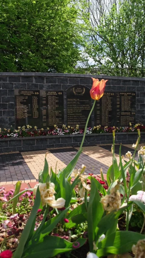 Dedication to Joey Dunlop Video stock 308398271