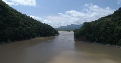 Deep Amazon Jungle River by drone in Bolivia Stock Footage 98792512