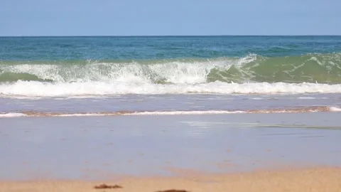 A deep Atlantic blue wave along a wet sand beach. Stock-Footage 193993796