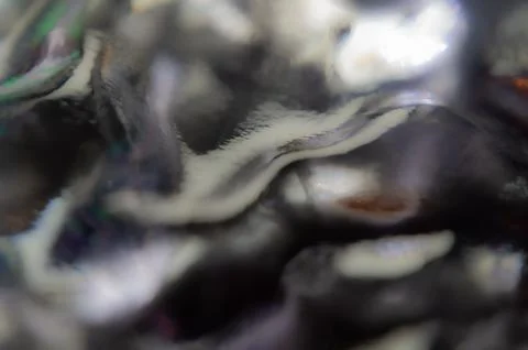 Deep Black and Muted Gray Abstract Gradient Noise Blur Background with Irid.. Stock Photos
