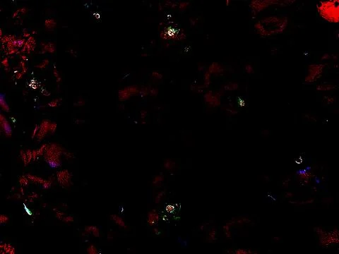 Deep black backdrop featuring scattered patterns displaying intricate details Fotos Stock