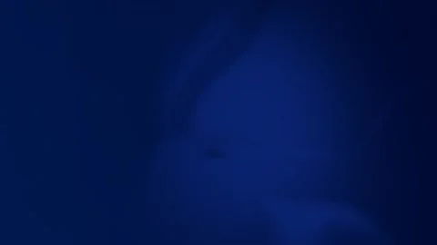 Deep blue abstract gradient with shadowy shapes. Seamless loop background. 4K Stock Footage 300840485