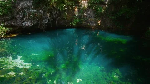 Deep blue clear spring water, limestone cave and overhanging trees at Sorgente Stock Footage 340826963