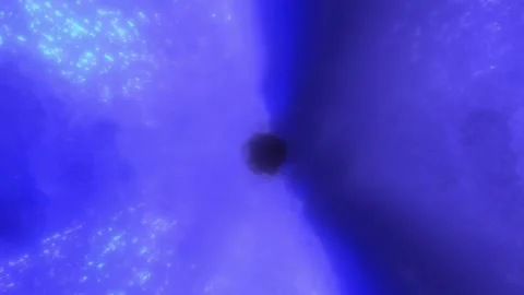 Deep blue clouds and particles converge into a dark central vortex Stock Footage 341398969