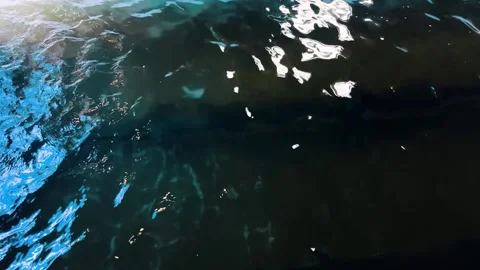 Deep blue dark water surface with light reflections Video stock 340581200